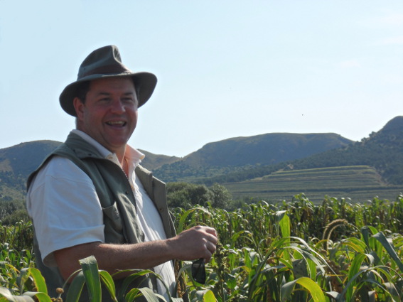 colleague in millet field