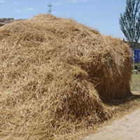 haystack