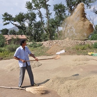 A man winnowing